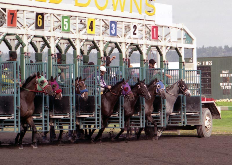 Horse Racing